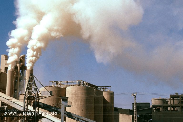 WWF-Türkiye BM İklim Değişikliği Taraflar Konferansı’nı değerlendirdi: COP26, 1.5 derece hedefini canlı tutmaya yetecek mi?
