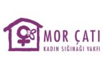 Sosyal Çalışmacı